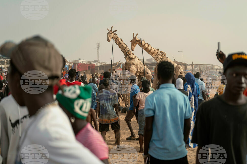 Senegal Herds