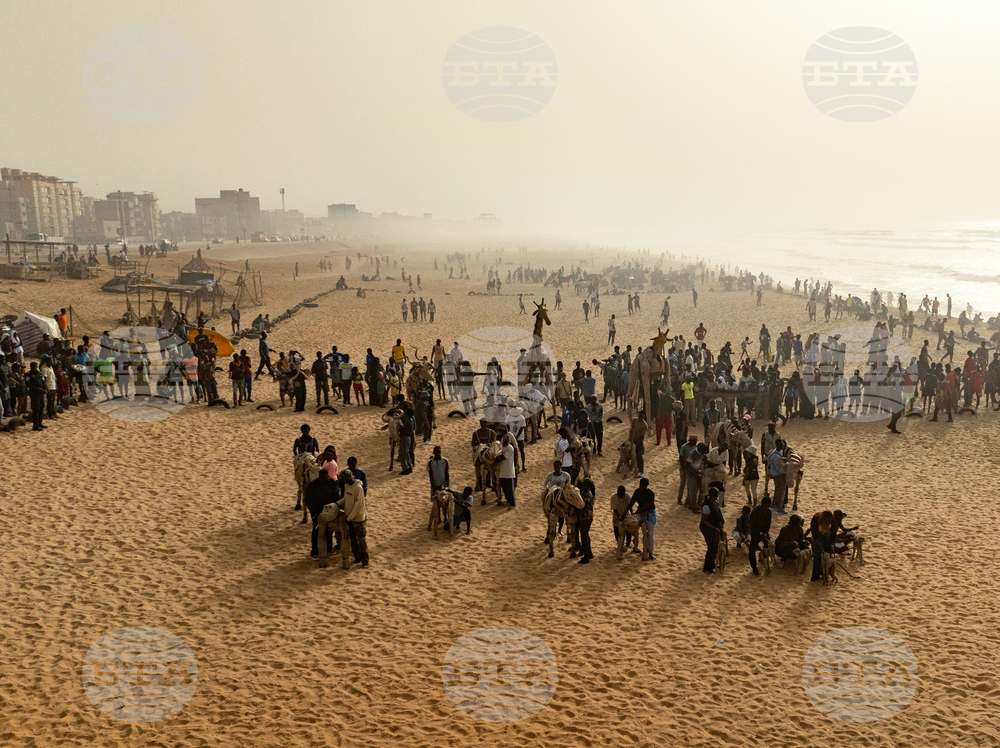 Senegal Herds
