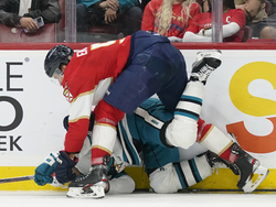 Sharks Panthers Hockey