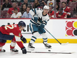 Sharks Panthers Hockey