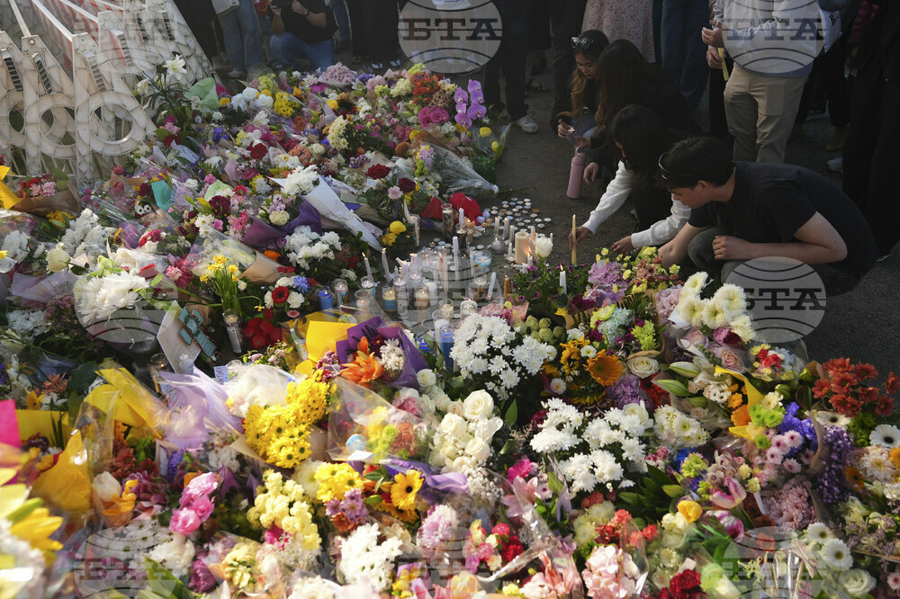 Canada Festival Deaths Vancouver