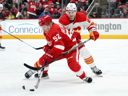 Flames Red Wings Hockey