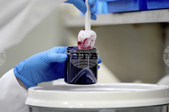 Мащабни изследвания свързват употребата на някои консерванти с риск от рак и диабет