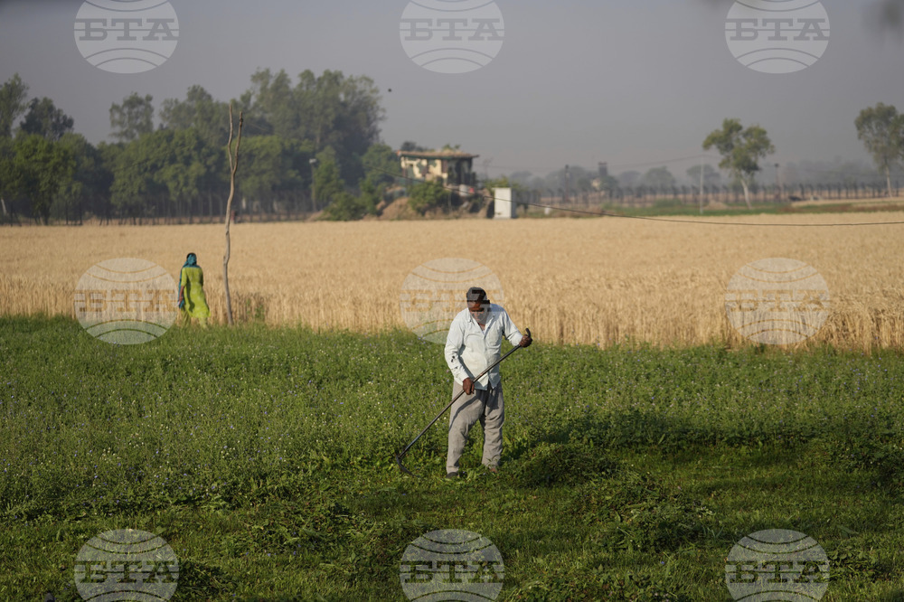 India Pakistan Border