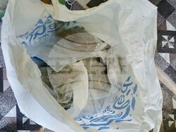 Попово - коноп - оранжерия 