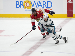 Sharks Panthers Hockey