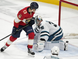 Sharks Panthers Hockey