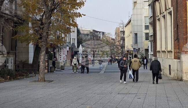 Над 200 свободни работни места обяви за тази седмица дирекция „Бюро по труда“ - Враца