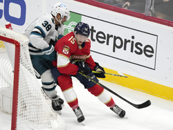 Sharks Panthers Hockey