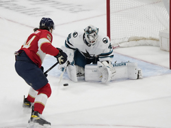 Sharks Panthers Hockey