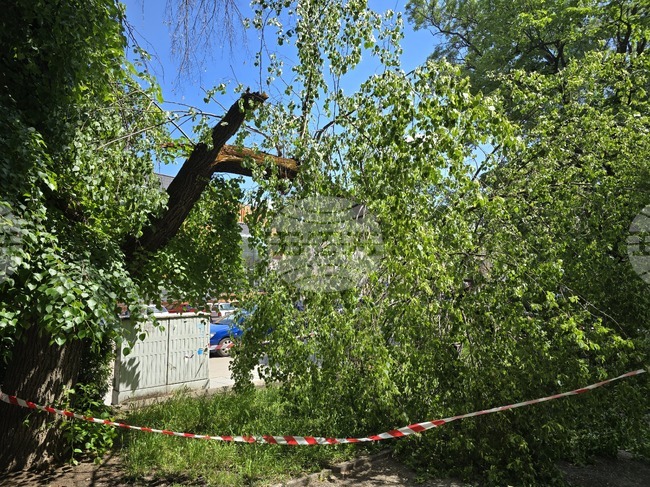 Пожарникари са реагирали на четири сигнала след поройния дъжд във Видин