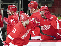 Flames Red Wings Hockey