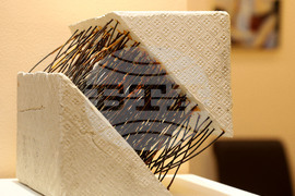 Варна - радио Варна - благотворителен търг