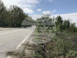 Снимка: АПИ