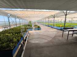 Снимка: Министерски съвет