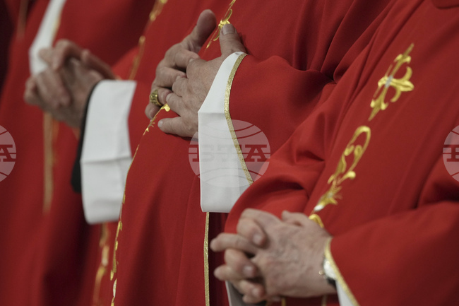 Германски кардинал отправи призив следващият папа да бъде твърд срещу джендър идеологията