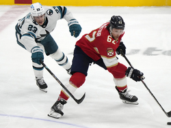Sharks Panthers Hockey