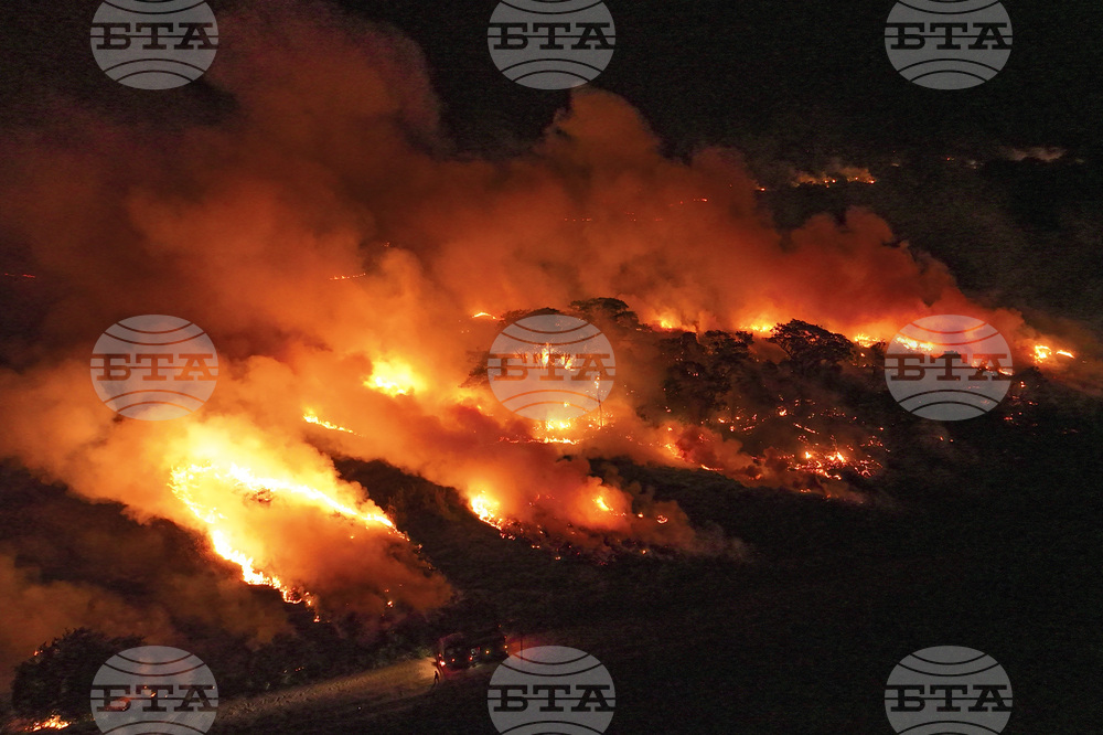 Brazil Deforestation Land Acquisition