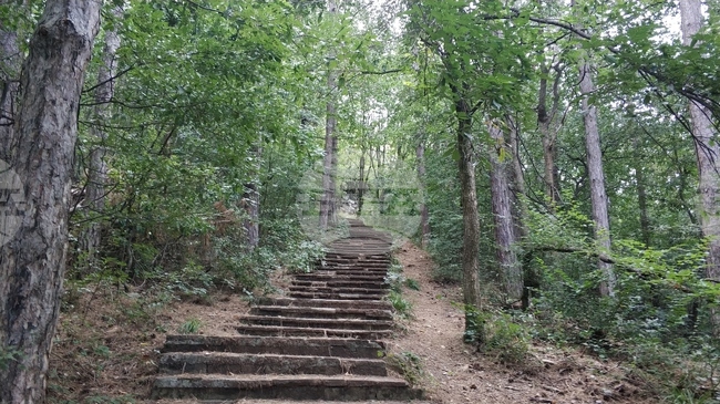 Навършват са 125 години от създаването на първото туристическо дружество във Враца