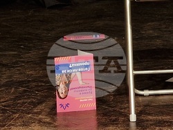 „Три за щастие“, авторски спектакъл на Ана Батева, е първата премиера на новата сцена „Спам“, снимка – Даниел Димитров/БТА