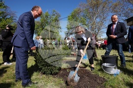 БАН - „Мирен атом-зелена планета“ - инициатива