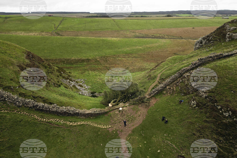 Britain Sycamore Gap