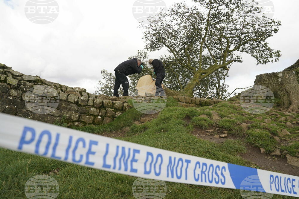 Britain Sycamore Gap