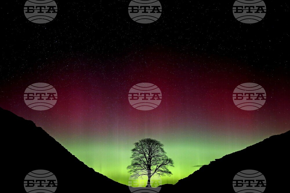 Britain Sycamore Gap