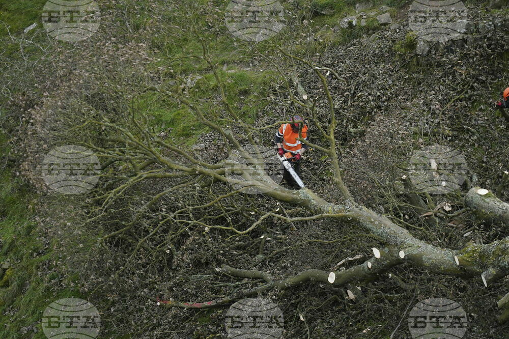 Britain Sycamore Gap
