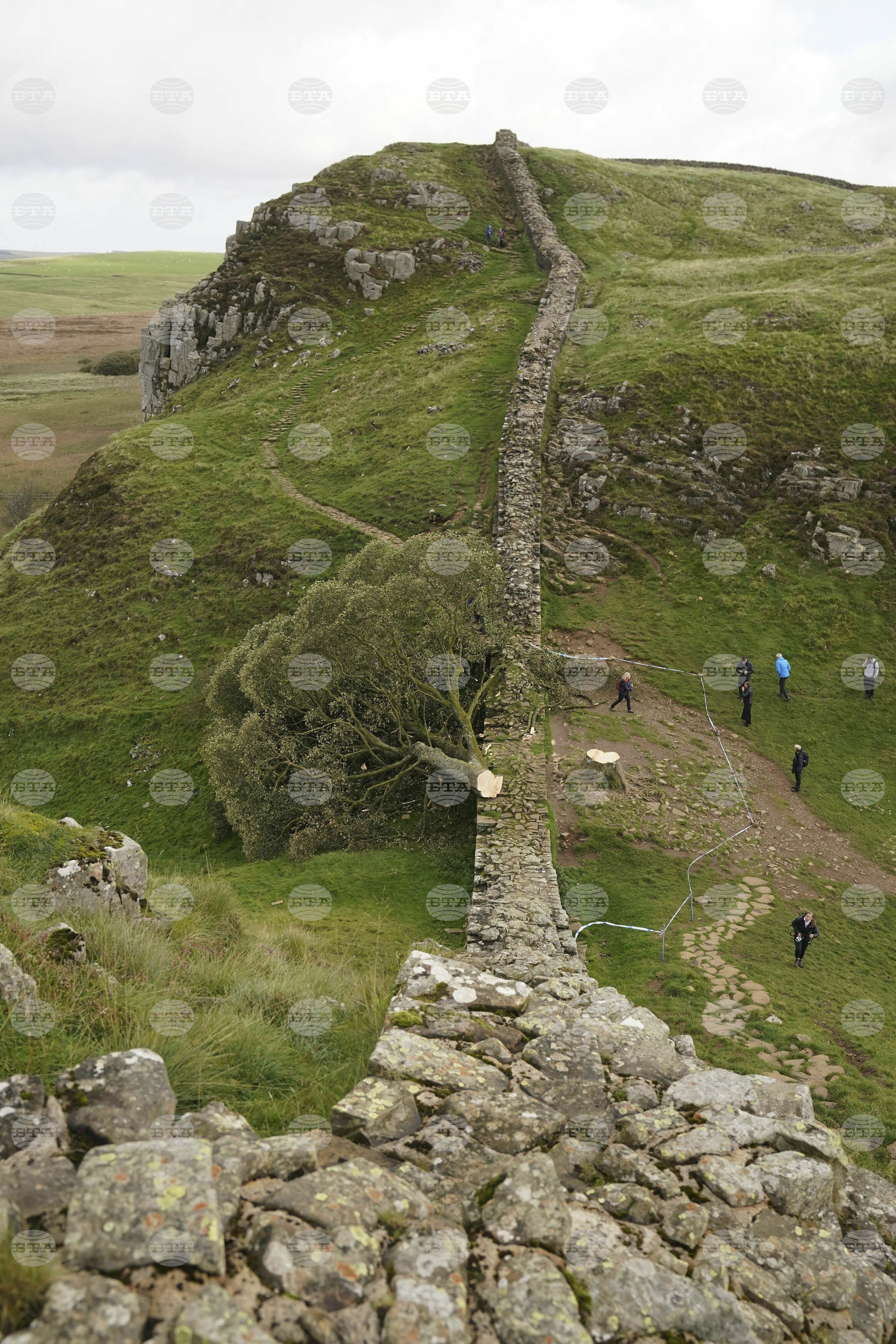 Britain Sycamore Gap