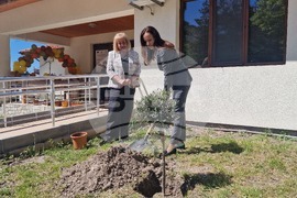  Хасково - Център за социални грижи - откриване