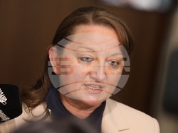 Народно събрание - Деница Сачева - изявление