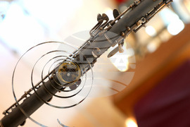 Варна - Дарин Сотиров - изложба