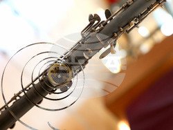 Варна - Дарин Сотиров - изложба