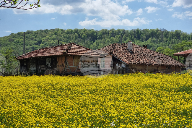 Добри са условията за туризъм в планините, съобщи Планинската спасителна служба на БЧК