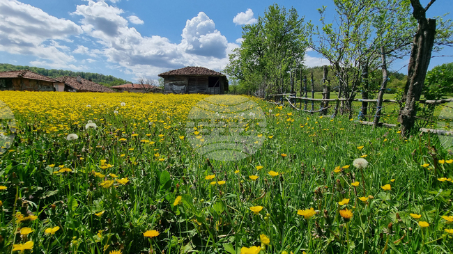 Прогноза за времето