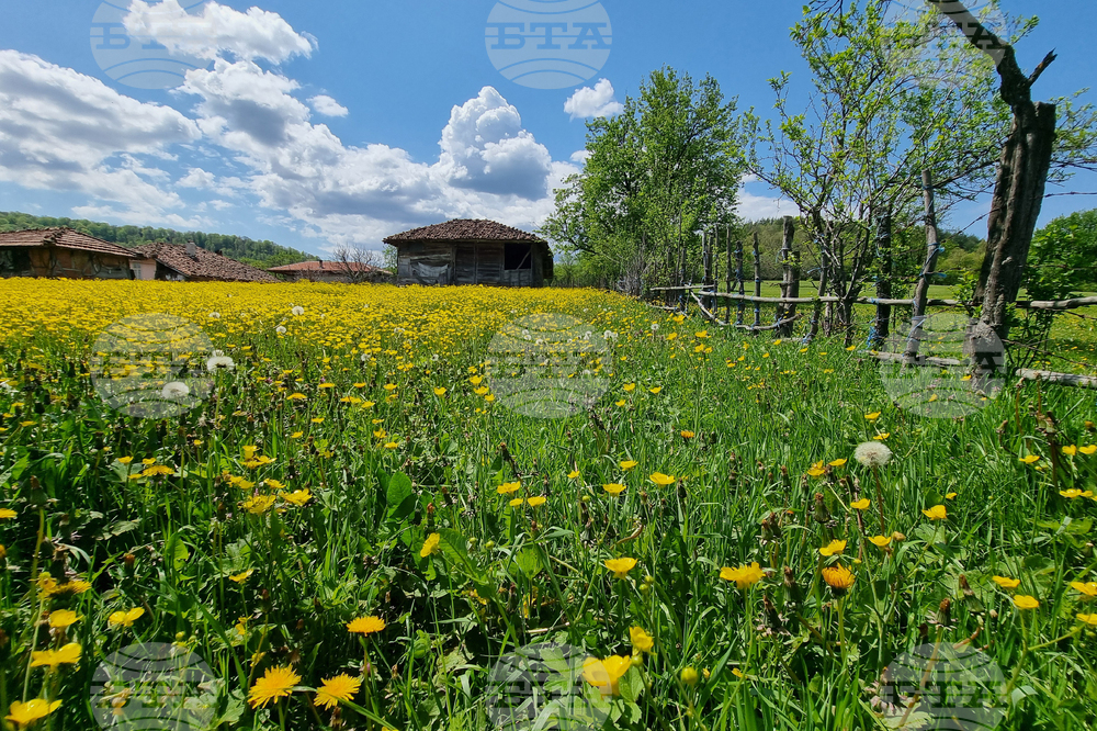 Прогноза за времето