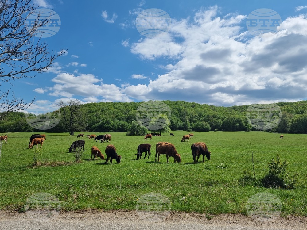 The Weather on May 15