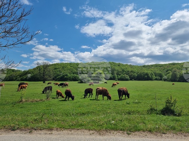 The Weather on May 15