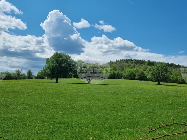 Югоизточното държавно предприятие – Сливен започва проект за устойчиво управление на горски местообитания по „Натура 2000“