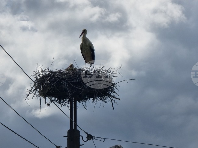 Прогноза за времето 