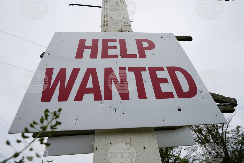 Job Openings