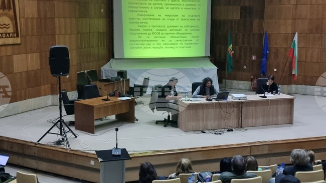 Сигналите в РИОСВ - Смолян за щети от мечки са се увеличили неколкократно за последните 15 години