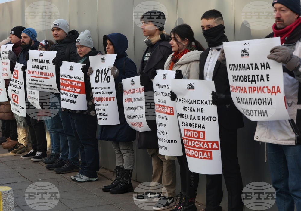 Граждани протестират в подкрепа на забраната за развъждане и внос на американски норки