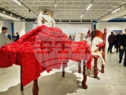 Кураторът Слав Недев представи изложбата „Смущения/Изгубен свят“ 