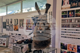 Село Орешак - „Изкуството да преподаваш изкуство” - изложба 