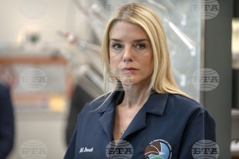 Bondi DEA