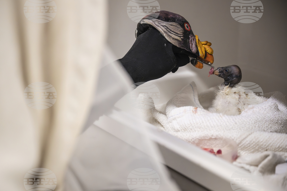 Zoo-Baby Vulture-Puppet