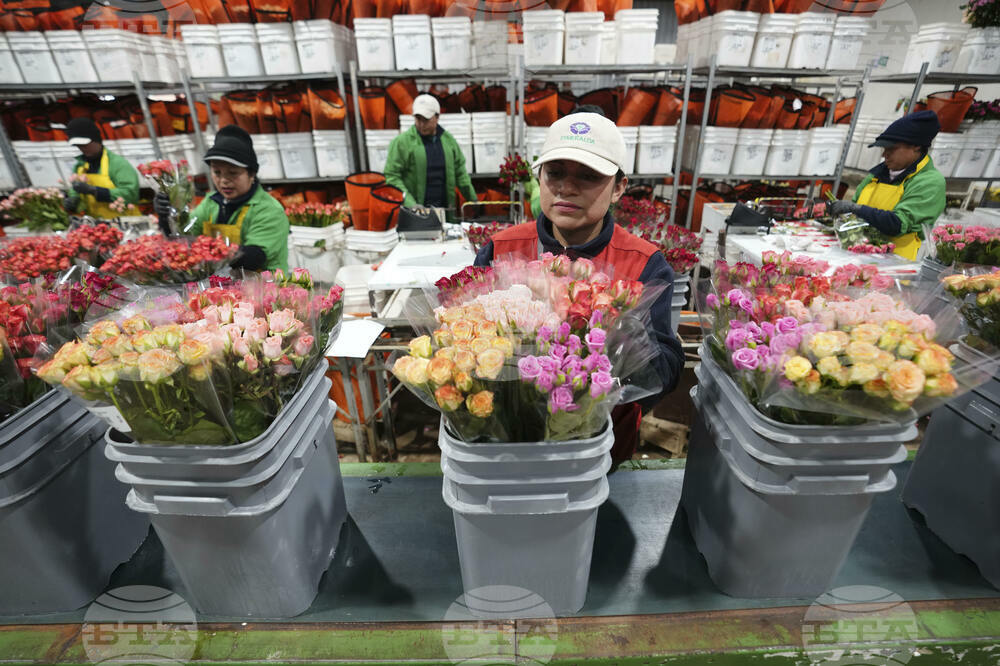 Ecuador Flowers