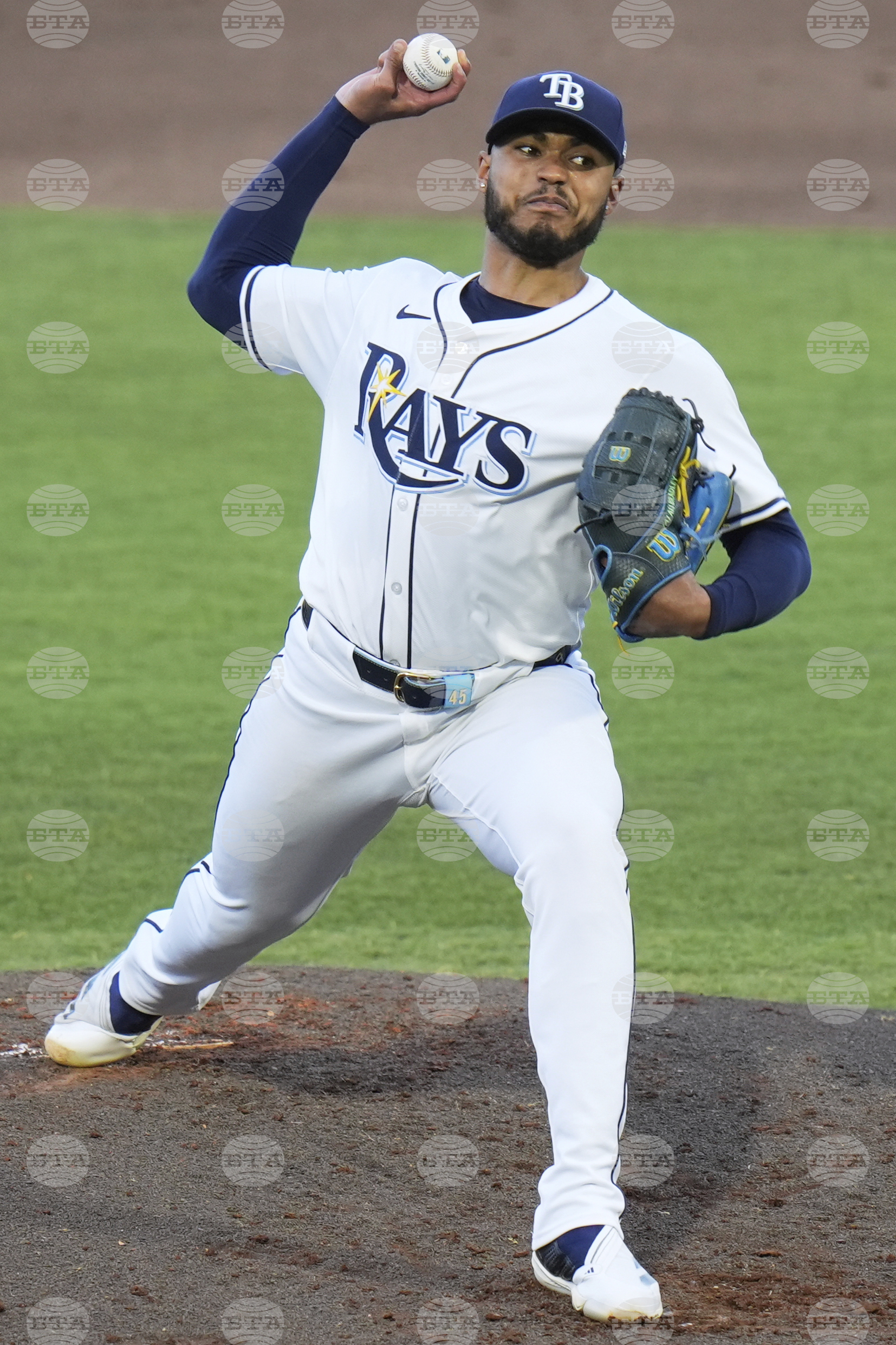 Royals Rays Baseball